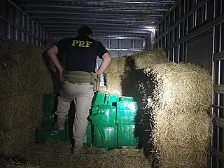 PRF apreende mais de duas toneladas de maconha escondidas em carga de feno