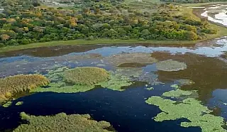 Parque do Pantanal do Rio Negro