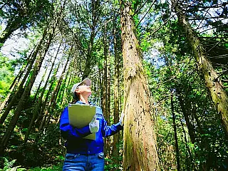 Dia do Engenheiro Florestal homenageia profissionais que preservam os recursos naturais