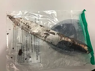 Suspeitos são presos por matar e depois queimar corpo de idoso em Dourados