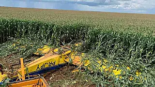 Piloto agrícola morre após queda de aeronave em propriedade de Mato Grosso do Sul.