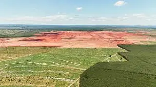 Inocência se prepara para transformação histórica com chegada da indústria de celulose