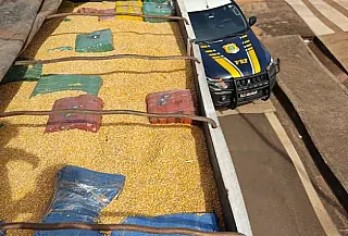 Polícia apreende quase 14 toneladas de maconha sob carga de milho