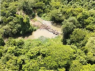 MP apura captação irregular de água que secou trechos do Córrego Laranja Doce