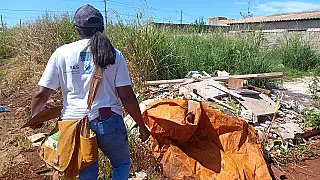 MS tem municípios em alto risco para dengue, aponta levantamento
