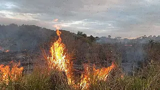 Incêndio que dura há dias na zona rural de Sidrolândia pode ter sido criminoso
