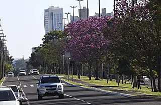 Quarta-feira tem previsão de tempo estável e seco em diferentes regiões do Estado