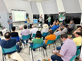 Intensificação a pasto aumenta produtividade na recria de bovinos