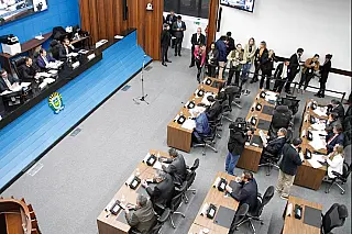 Pautada proposta que reconhece o tuiuiú como ave símbolo do Pantanal de MS
