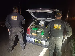 Veículo com mais de 300 quilos de maconha é apreendido pelo DOF em Bataguassul 