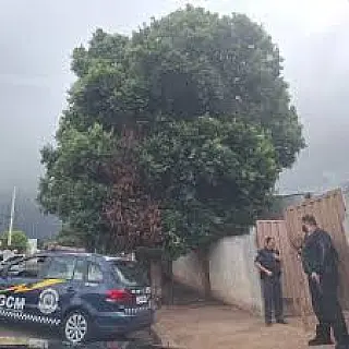 Operação conjunta desmantela ponto de tráfico em Santa Fé do Sul