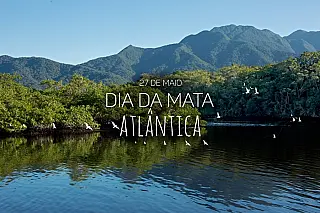 Dia Nacional da Mata Atlântica 
27 de Maio