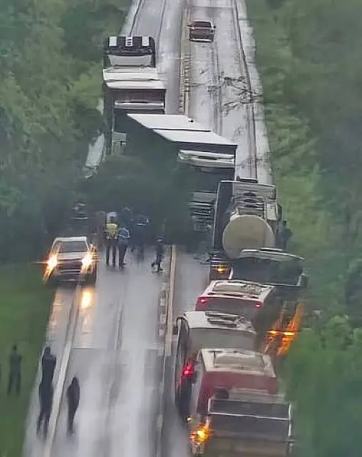 Queda de árvore interdita rodovia MS-377 entre Água Clara e Inocência