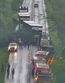 Queda de árvore interdita rodovia MS-377 entre Água Clara e Inocência