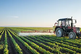O Dia da Agricultura é comemorado anualmente em 17 de outubro.