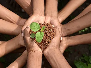 Semana do Meio Ambiente mobiliza escolas e instituições em Ivinhema com ações educativas, premiações