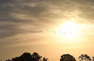 Quinta-feira tem previsão de altas temperaturas e pode bater recorde em MS