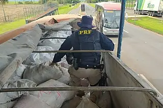 PRF apreende carga de agrotóxico ilegal em Caarapó