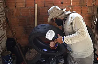 MS registra mais de 8 mil casos confirmados de dengue em 2025, segundo boletim da SES