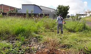 Proprietários de terrenos sujos são multados em Aparecida do Taboado