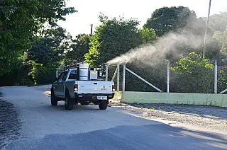 Fumacê contra a dengue: bairros críticos recebem operação de combate ao Aedes aegypti