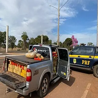 Após fuga, polícia encontra veículo abandonado com mais de 1t de maconha