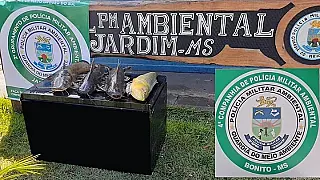 PMA desmonta acampamento de pesca ilegal no Rio Miranda, em Nioaque