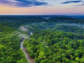 17 de julho: Dia de Proteção às Florestas reforça a importância da preservação ambiental