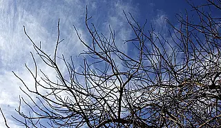 Ar frio e seco predomina nesta terça-feira em Mato Grosso do Sul