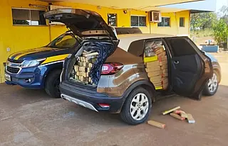 Irmãos são presos levando quase 1 tonelada de maconha para Paranaíba