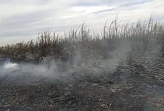Empreiteira paulista é autuada em R$ 1,47 milhão por incêndio em lavoura de cana-de-açúcar em MS