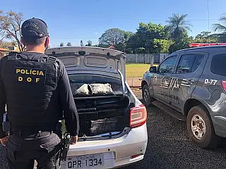 DOF apreende quase meia tonelada de drogas na MS-156