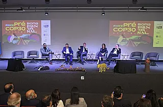 MS e MT definem prioridades para preservação do Pantanal na COP30
