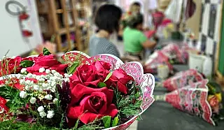 Procon de Mato Grosso do Sul divulga pesquisa sobre flores e autocuidado