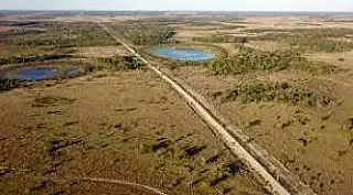 Sancionada lei de autoria de Renato Câmara que define 12 de novembro como Dia do Pantanal