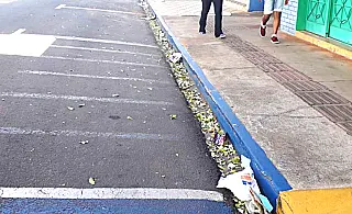 Limpeza pública de Paranaíba vira alvo de críticas de vereadores