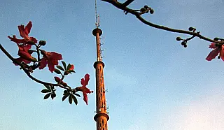 Massa de ar seco garante quinta-feira de céu aberto e temperaturas elevadas