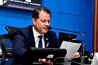 Frente Parlamentar para o Desenvolvimento da Suinocultura toma posse nesta quarta - feira
