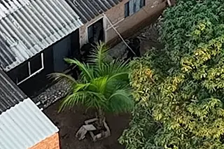 Polícia Federal cumpre 24 prisões contra organização criminosa em oito cidades de MS