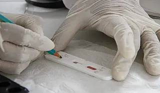 MS registra 1.496 novos casos de covid-19 e quatro mortes em uma semana