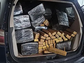 Veículo clonado com 800 kg de maconha capota durante perseguição na BR-376