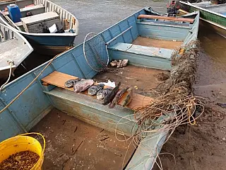 PMA de Batayporã prende e autua dois pescadores profissionais em R$ 3,3 mil