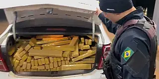 PRF apreende mais de 1 tonelada de maconha após perseguição na BR-060