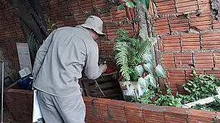 Saúde mostra Deodápolis e Glória com alta incidência de dengue e Ivinhema se aproxima