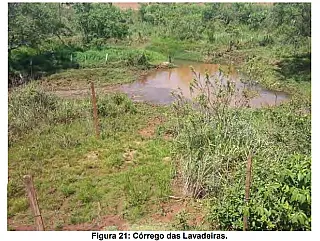 MP investiga desmatamento ilegal em área de preservação em Deodápolis