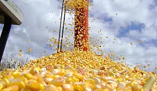 Agroindústria está presente no dia a dia da população sul-mato-grossense