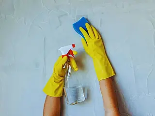 27 de Abril  Dia da Empregada Doméstica