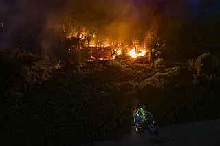 Incêndio no Pantanal: governo decreta situação de emergência em 5 municípios