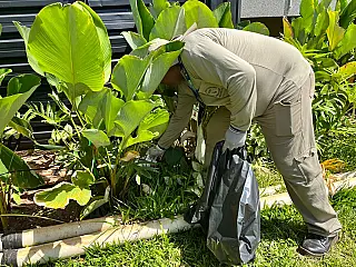 Ação no Parque dos Poderes reforça medidas contra focos do Aedes aegypti