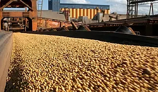 Exportações de MS crescem 12,76% e somam US$ 7,21 bilhões